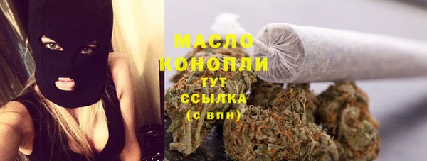 СК Алексин