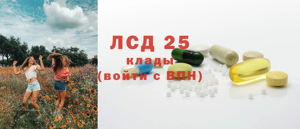 СК Алексин