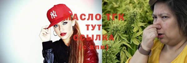 СК Алексин