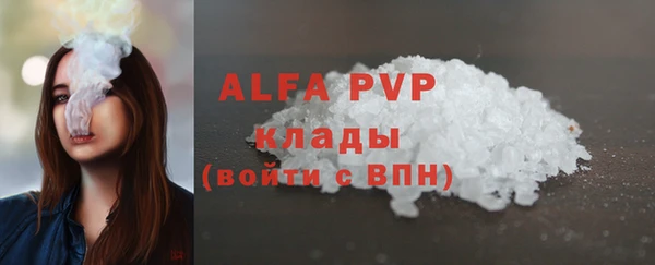 СК Алексин