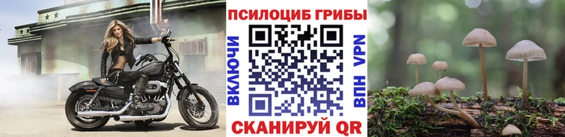 Галлюциногенные грибы ЛСД  Купить  Сенгилей 